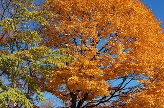 DSC_1045 - コピー.JPG