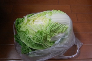 DSC_1058 - コピー.JPG